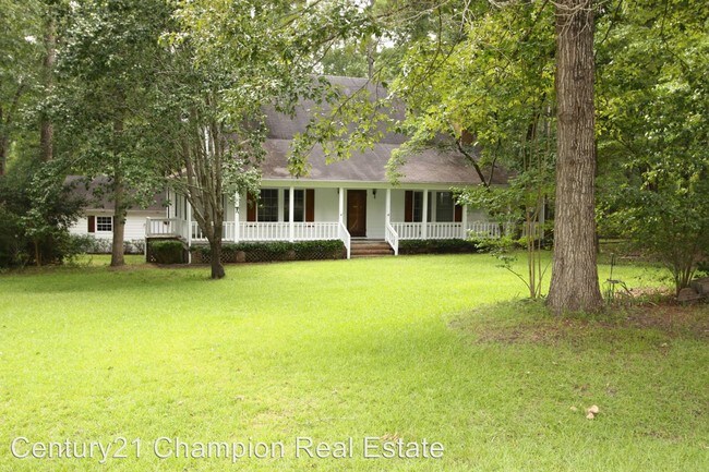 3 br, 2.5 bath House - 107 Riverbend Rd. - 3 br, 2.5 bath House - 107 Riverbend Rd.