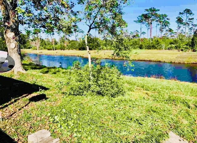 Ahhhmazing backyard - 236 Lily Rd