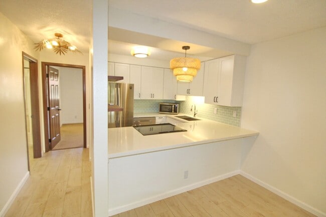 Photo - Cat-Friendly Upgraded Unit A Half A Block ...