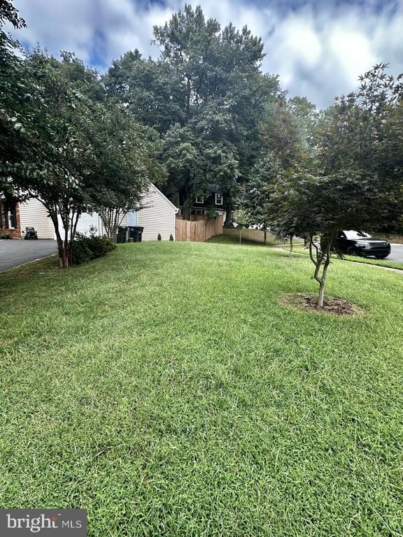 2281 Dosinia Ct