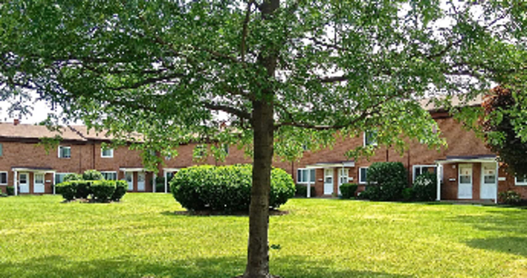 Photo - Wickliffe Gardens
