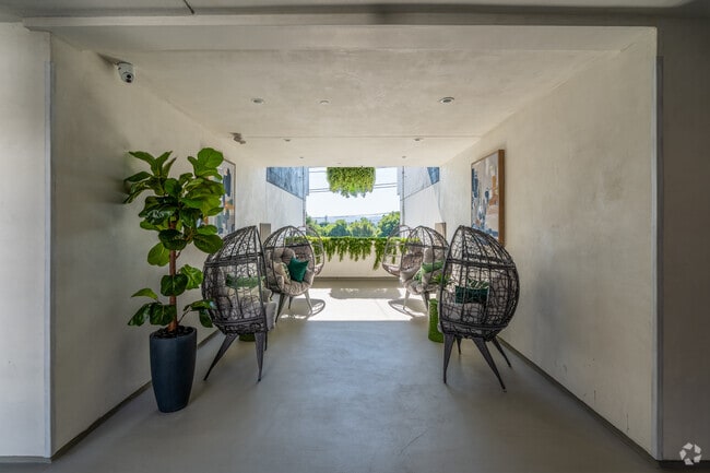 Courtyard 4