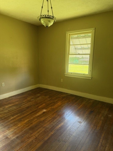 Photo - 308 Dampeer St