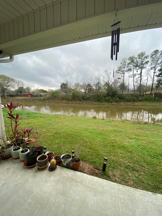 Backyard Pond View - 16052 Summer Gardens Ave