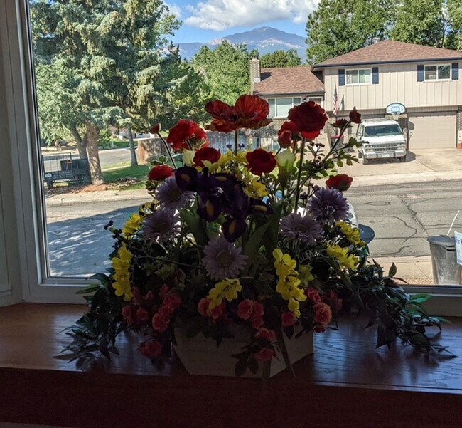 Photo - Tulip Way 4125-4127 Unit 4125
