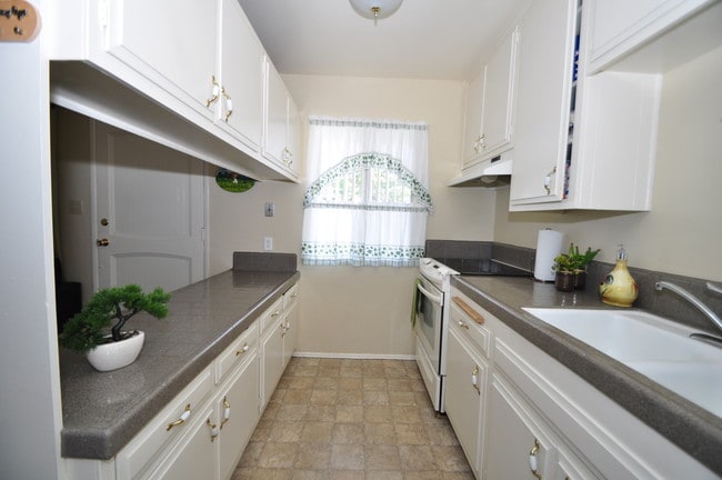 Palm Shadows - Palm Shadows Apartments