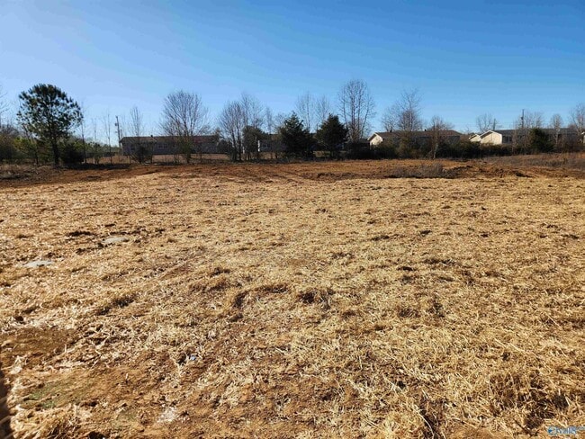 Photo - 207 Fern Bank Dr