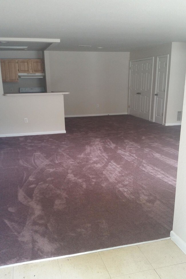 Living Room Area