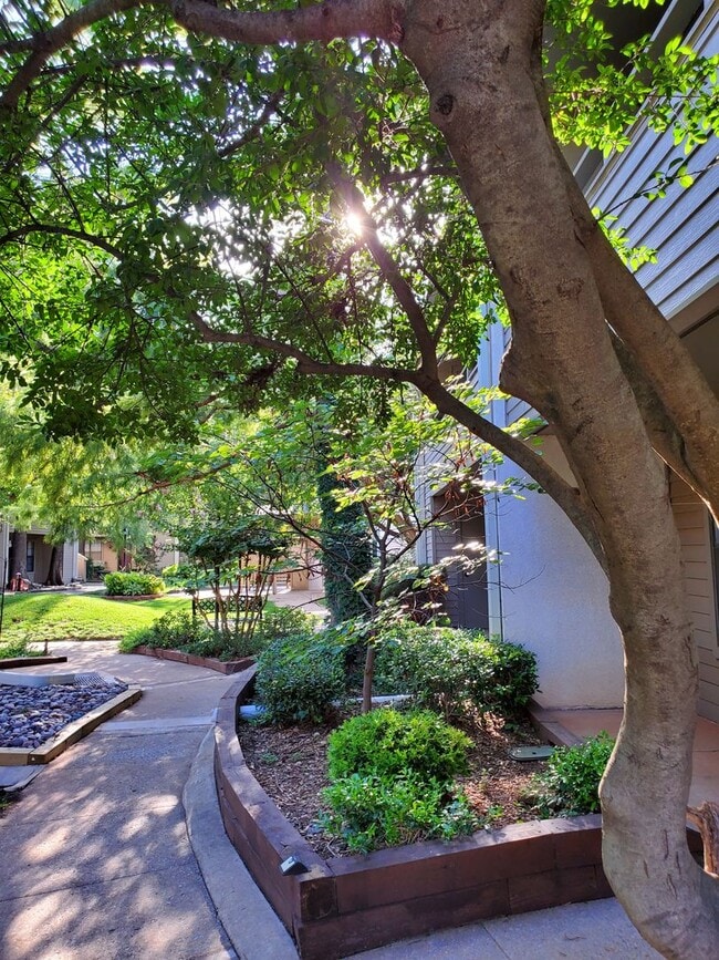 Photo - 11140 N Stratford Dr House