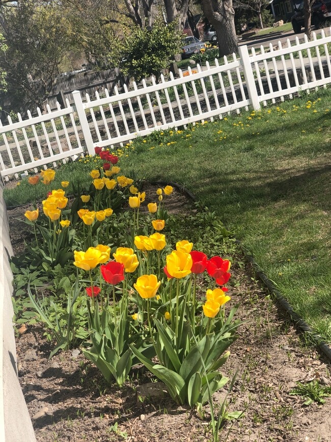 Photo - 1529 S Vermont Ave