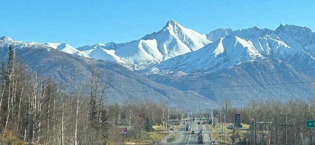 Photo - A Slice Of Moose Paradise - “The Bungalow Below” Unidad Basement Level
