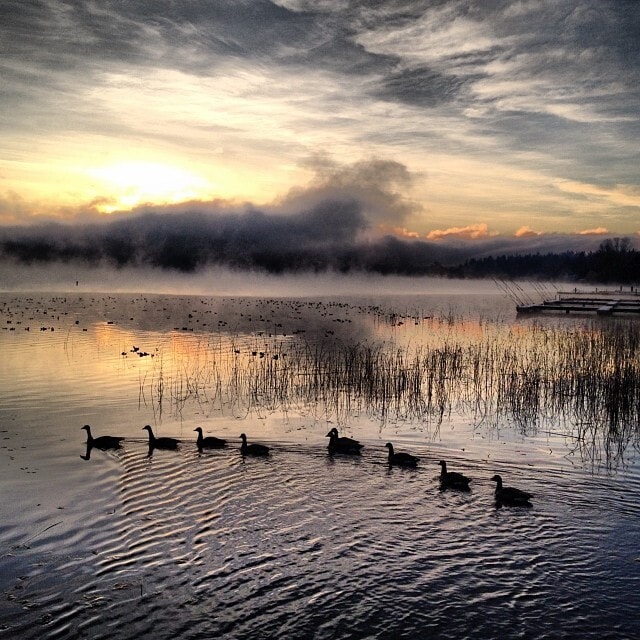 Photo - 17108 Northeast 45th Street Unit 22