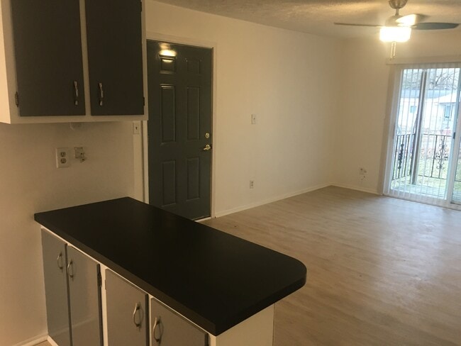 Photo - Willow Tree Apartments Unit 3