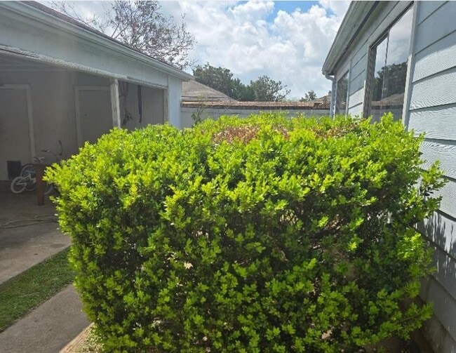 Photo - 8718 Brummel Dr