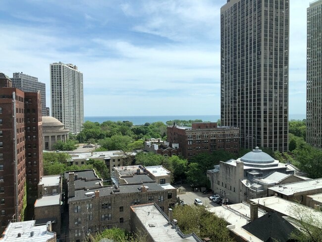 Million dollar view from living room and bedrooms - 2728 N Hampden Ct Unit 1309