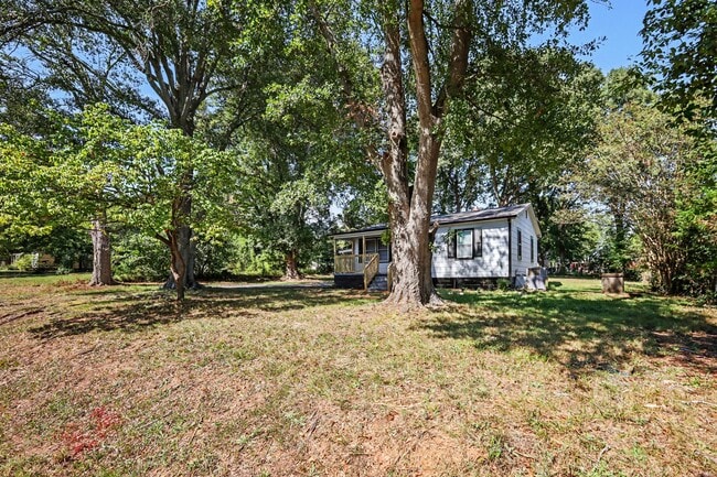 237 Lily St