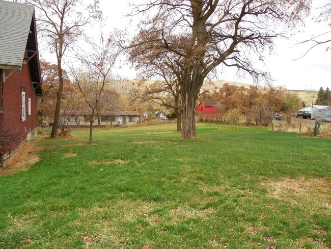 Photo - 3 bedroom 1 bath home with large yard
