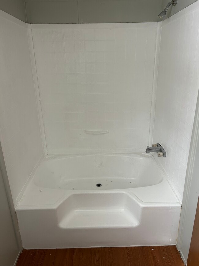 Master bathroom tub