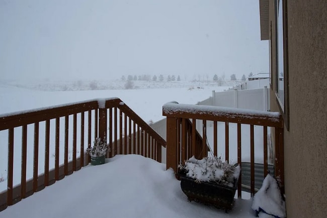 Photo - 3327 Falcon Way