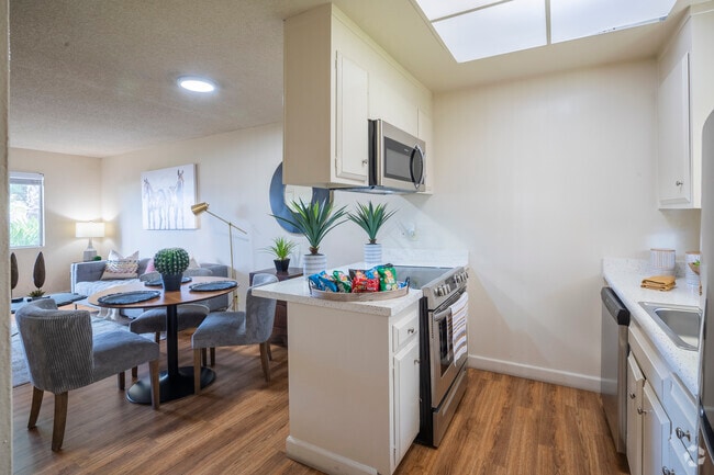 1 Bedroom - 1BR, 1BA - 585SF - Kitchen - Sundale