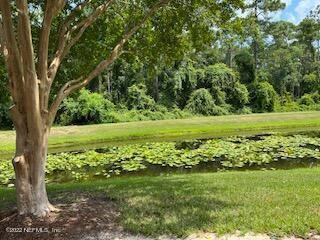 Photo - 748 Ginger Mill Dr