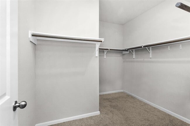 Building Photo - 10220 Goose Creek Ln