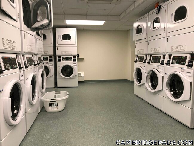 Photo - 18 Chauncy St Unidad C