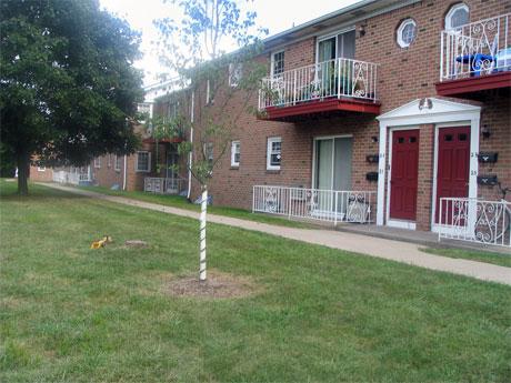 Clinton Garden - Clinton Garden Apartments