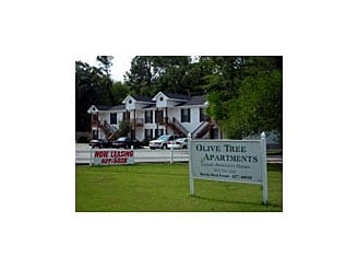 Photo - Olive Tree Apartments