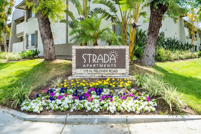 Strada Apartments