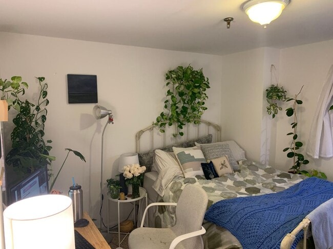 Photo - 168 Northampton St Unit 2