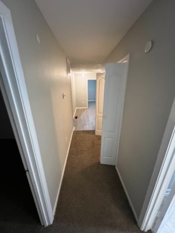 Photo - 103 Molloy Ct