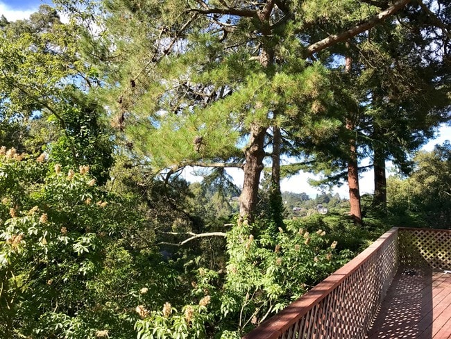 Building Photo - 339 Taurus Ave