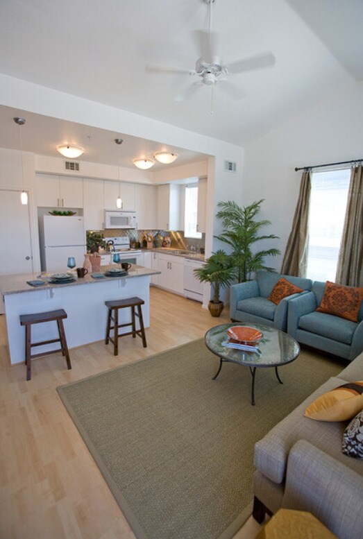 1 bedroom main area