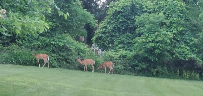 Locales - 7 Christian Ave