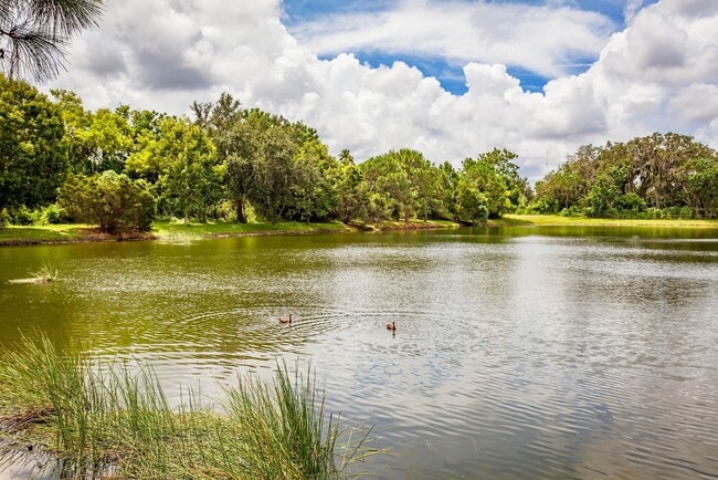 Photo - River Trace Apartments and Homes