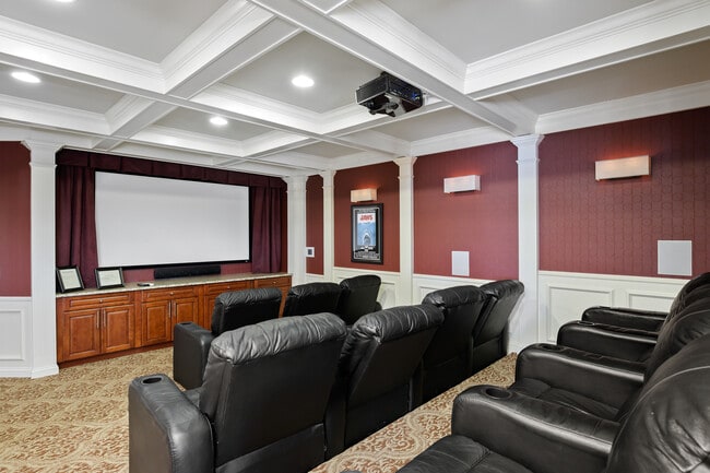 Private Movie Theatre