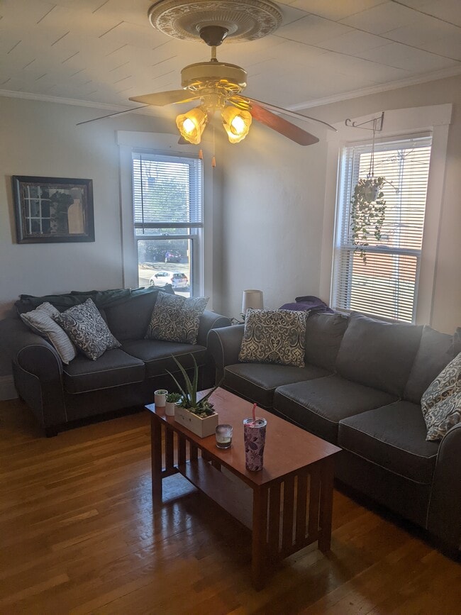 Sunny Living room - 55 E Central St Unit 2