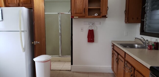 partial view of shower - 3337 Pakanu St Unit Studio