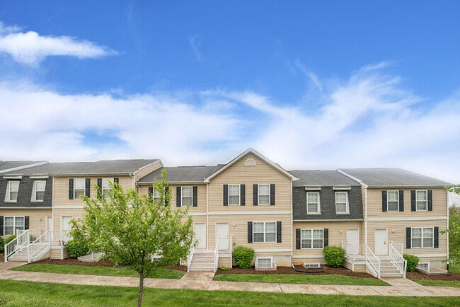 Photo - Copper Beech at Radford