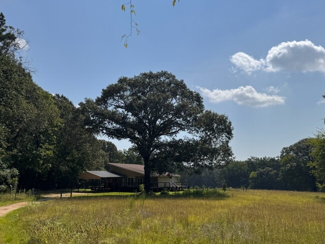 Building Photo - Kelsey House + 2 acres