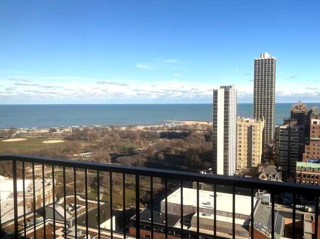 Photo - 1560 N Sandburg Terrace Unit 2610