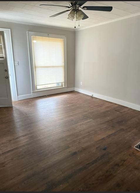 Photo - 106 Warner St