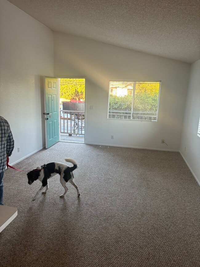 Photo - 409 El Sueno Rd