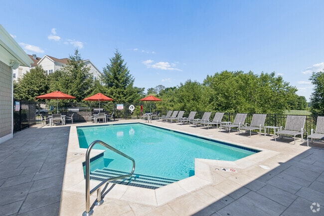 Pool - MarketStreet Apartments