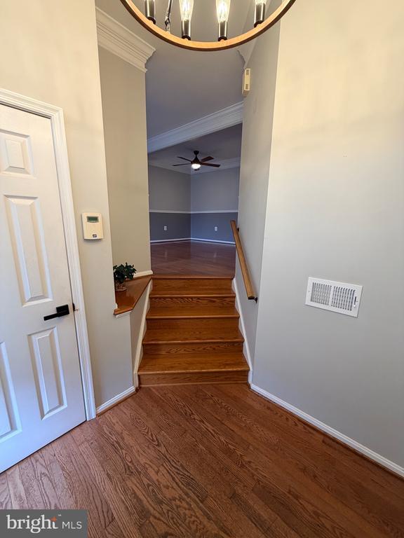 Photo - 46754 Woodmint Terrace