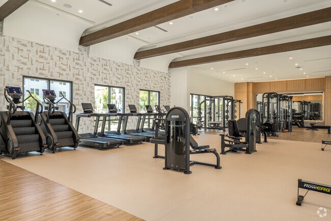 Gimnasio