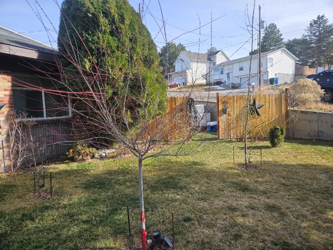 Photo - 1650 Jean St