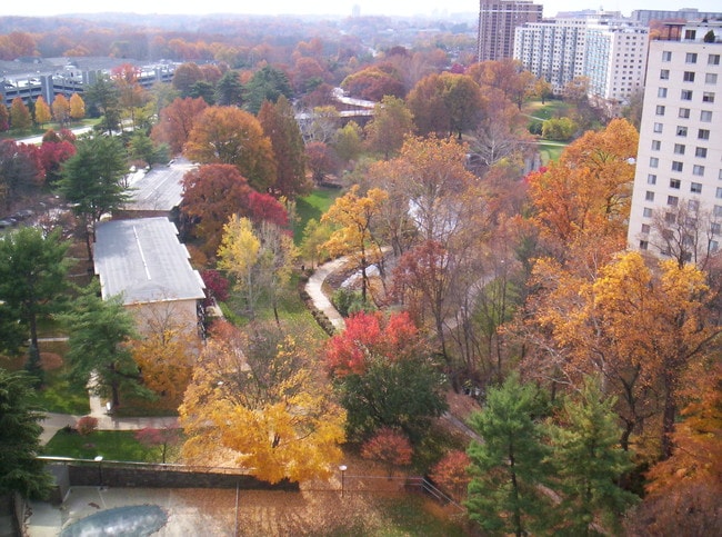 Park view from balcony - 10500 Rockville Pike Unit 1415