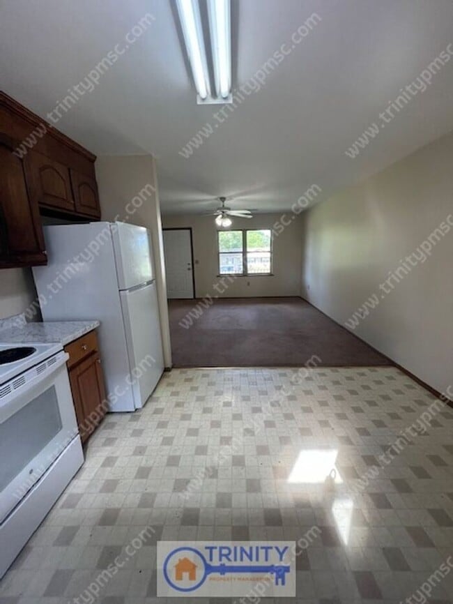 Photo - Cute and Available NOW!